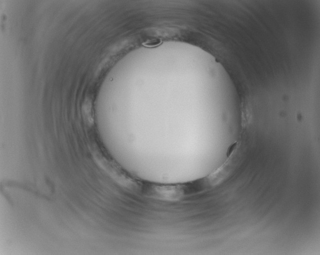 X0000051910187200507082039