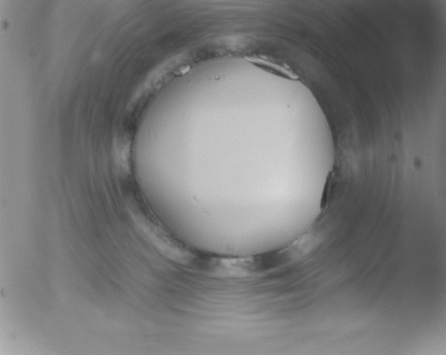 X0000051910188200507082039