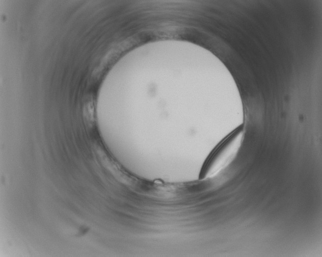 X0000051910190200507082039