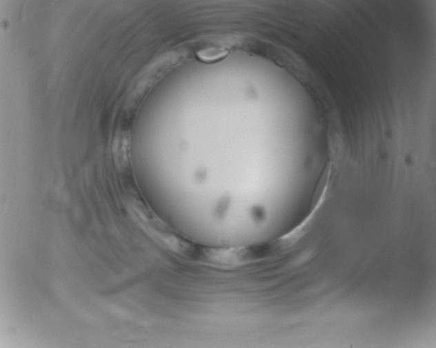 X0000051910191200507082039