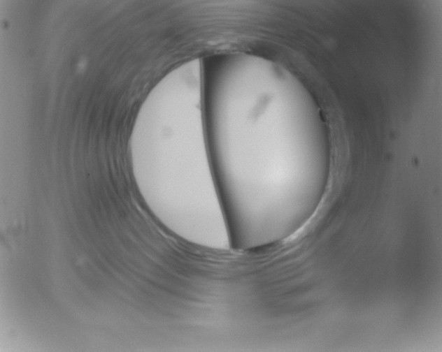 X0000051910192200507082039