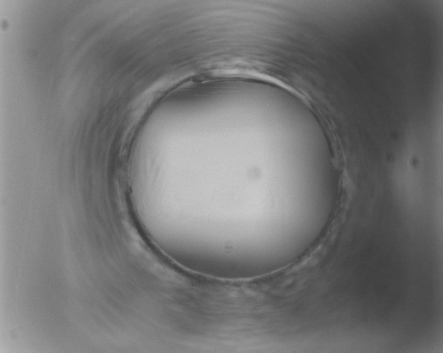 X0000051910193200507082038