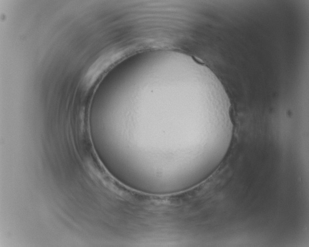 X0000051910194200507082038