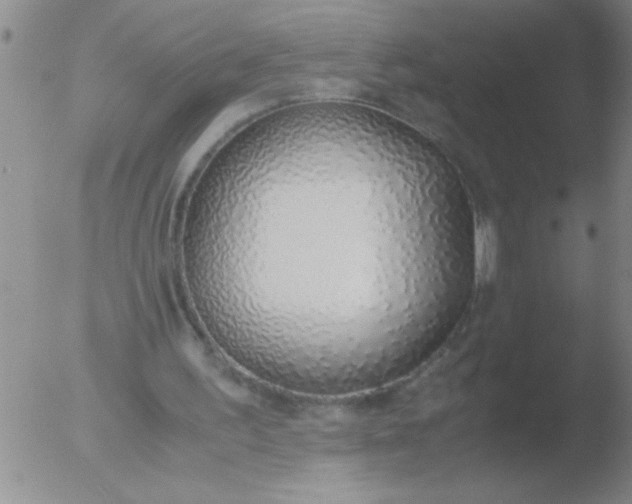 X0000051910195200507082038