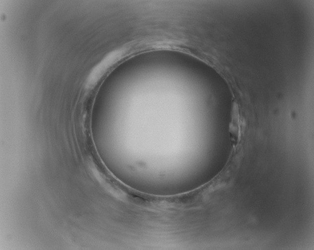 X0000051910197200507082038