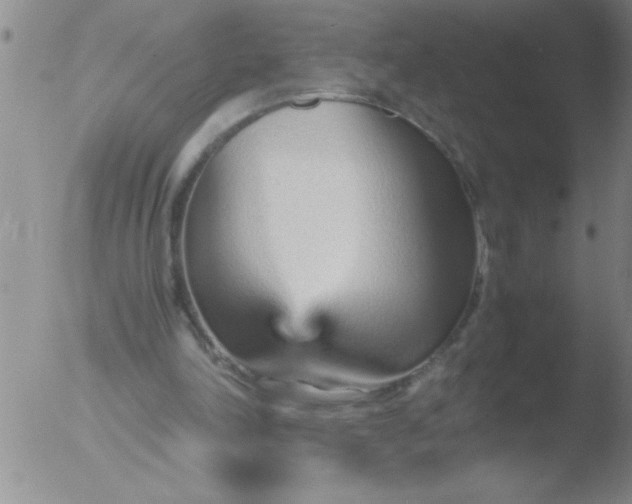 X0000051910198200507082038