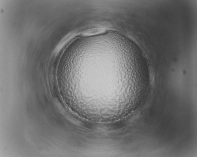 X0000051910199200507082038