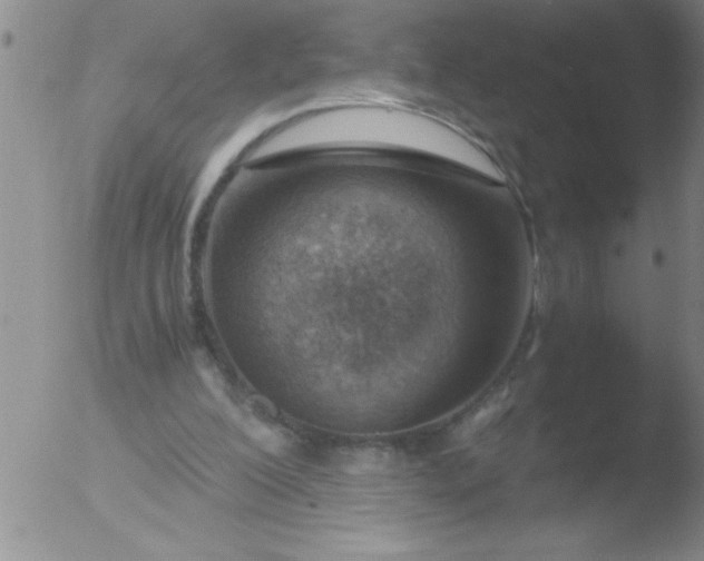 X0000051910200200507082038