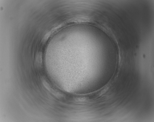 X0000051910202200507082038