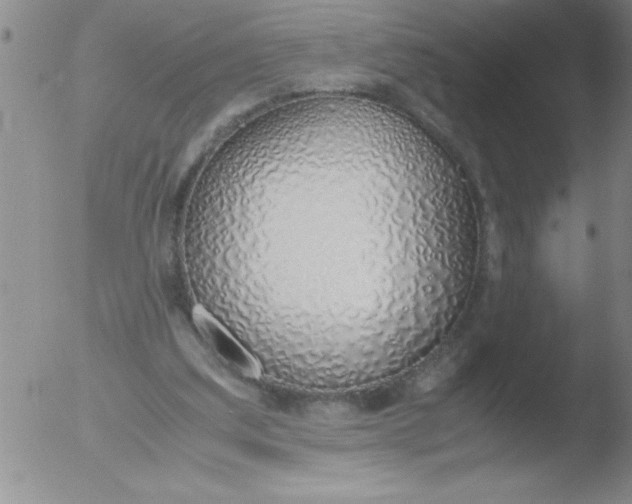 X0000051910203200507082038