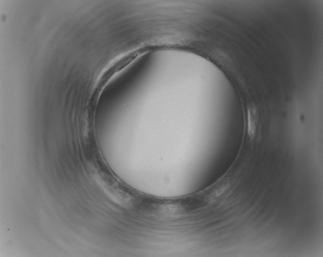 X0000051910204200507082038