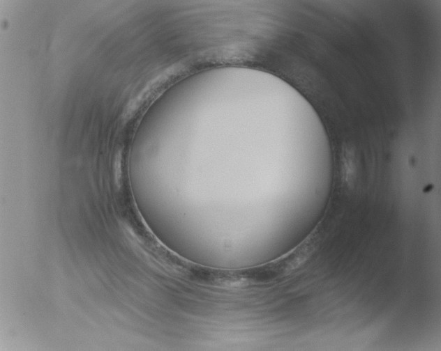 X0000051910206200507082038