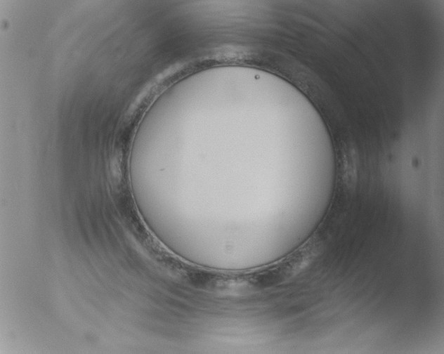 X0000051910208200507082038