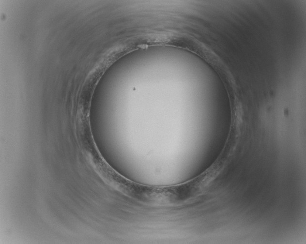 X0000051910209200507082038