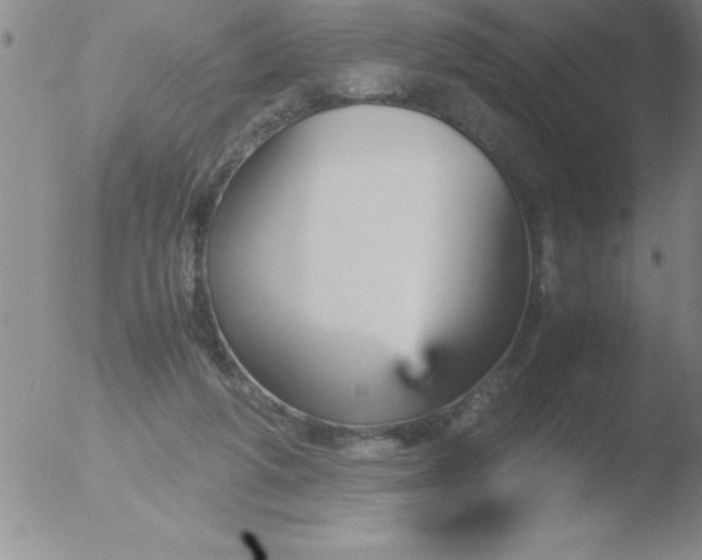 X0000051910210200507082038