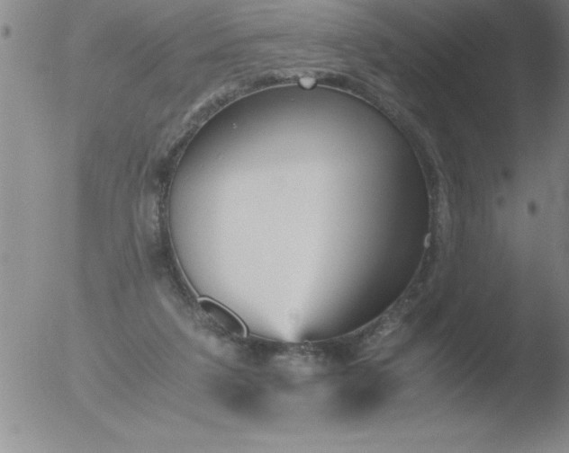 X0000051910211200507082038