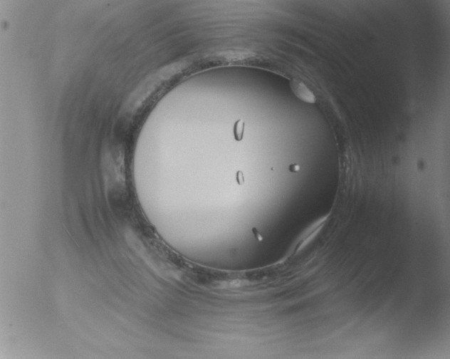 X0000051910212200507082038