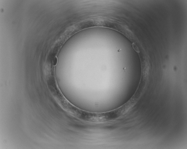 X0000051910213200507082038