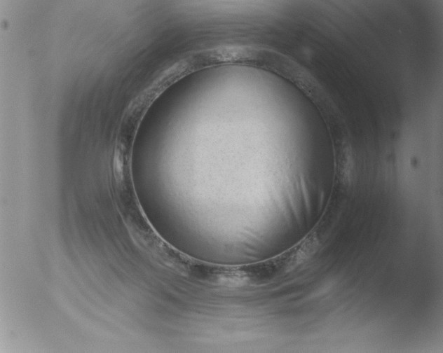 X0000051910214200507082038