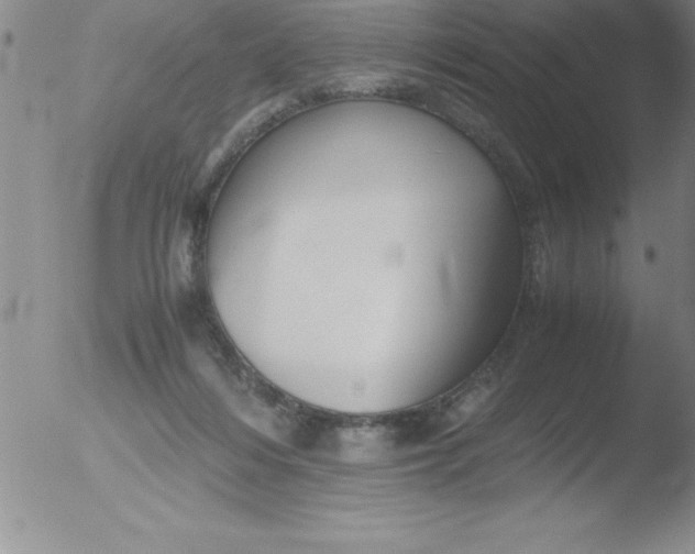 X0000051910216200507082038