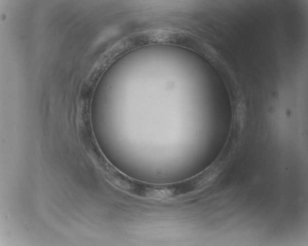 X0000051910217200507082038