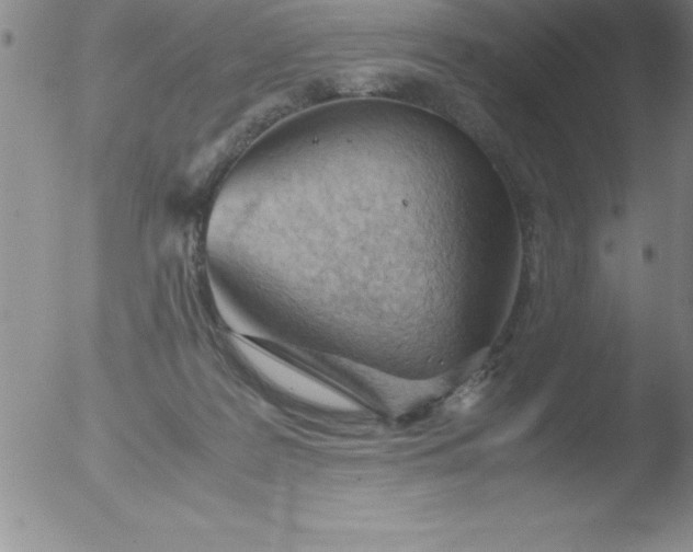 X0000051910219200507082038