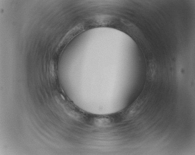 X0000051910220200507082038