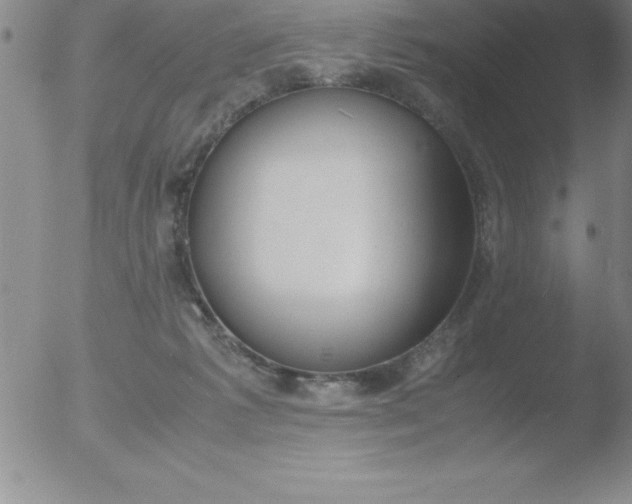 X0000051910221200507082038