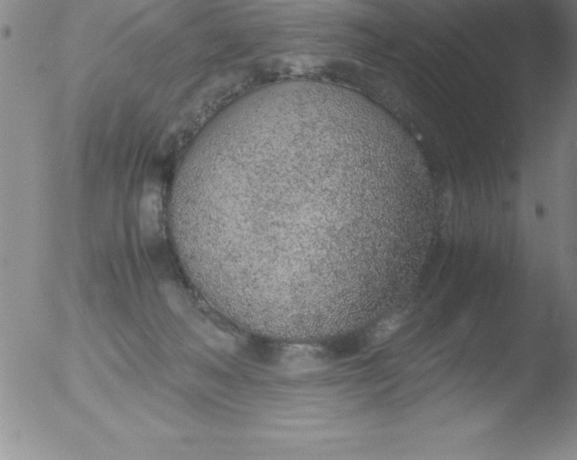 X0000051910222200507082038