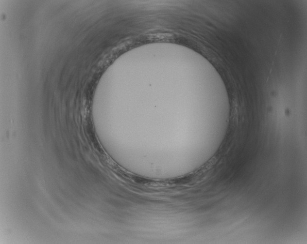 X0000051910223200507082038