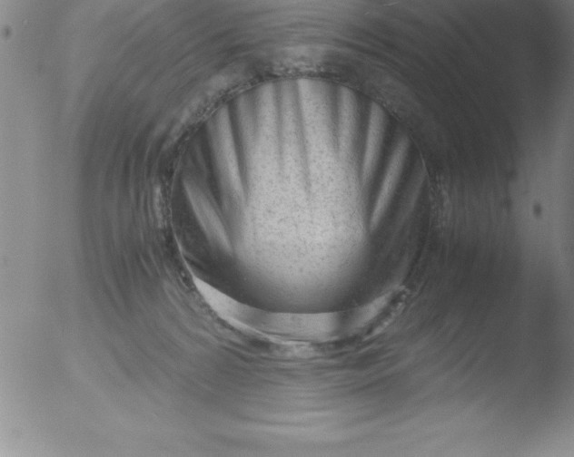 X0000051910224200507082038