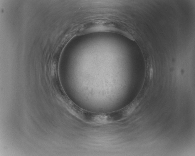 X0000051910227200507082038