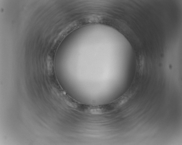 X0000051910228200507082037