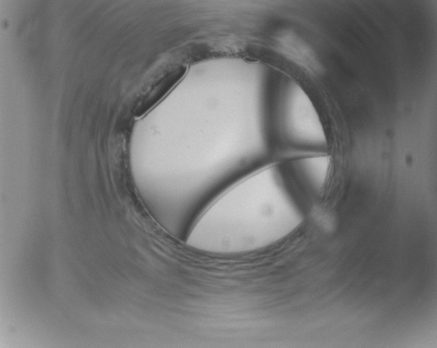 X0000051910229200507082037