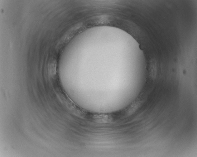 X0000051910230200507082037