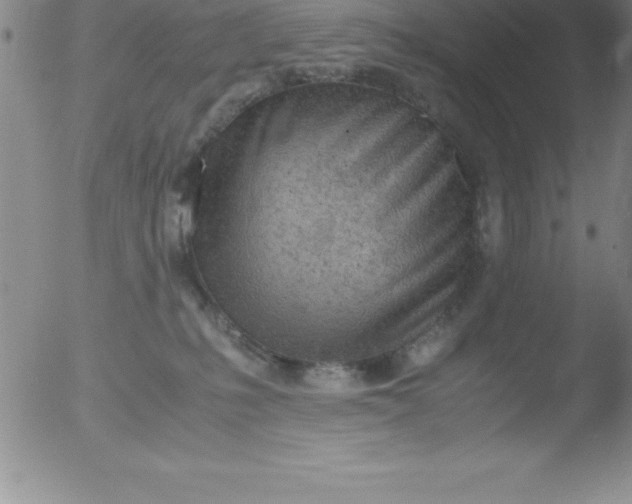 X0000051910231200507082037