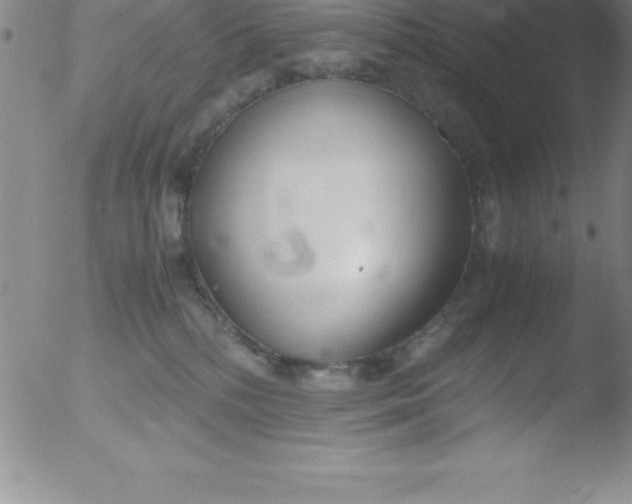 X0000051910232200507082037