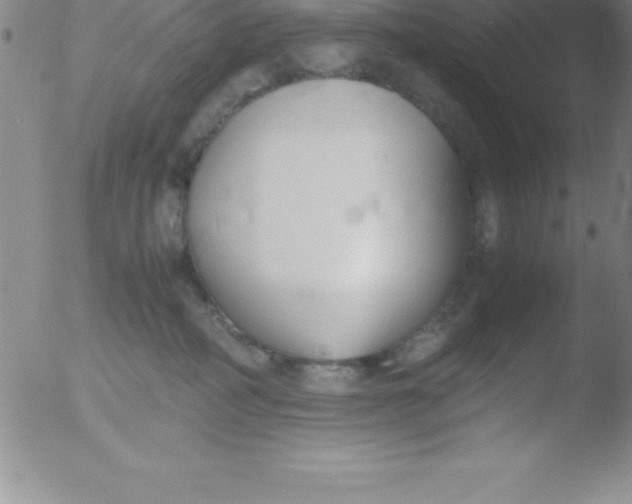 X0000051910234200507082037