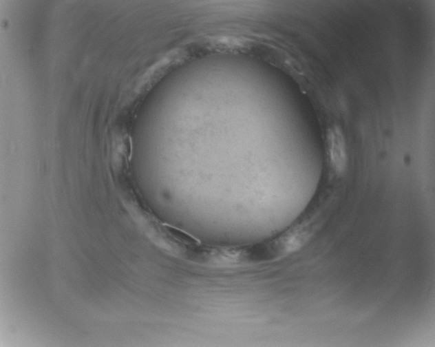 X0000051910235200507082037