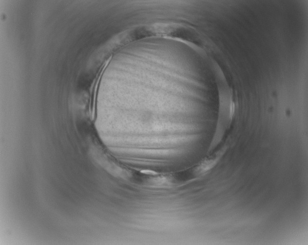 X0000051910237200507082037