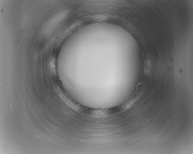 X0000051910238200507082037