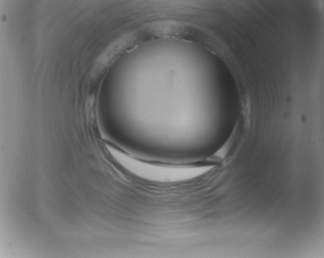 X0000051910239200507082037