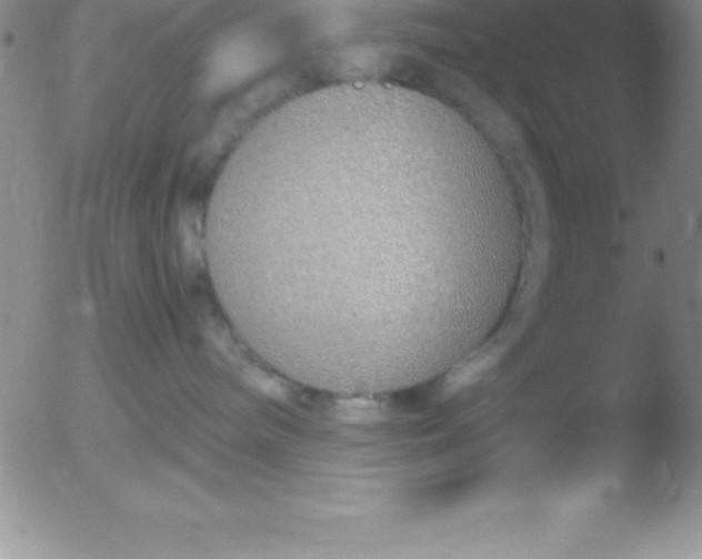 X0000051910240200507082037