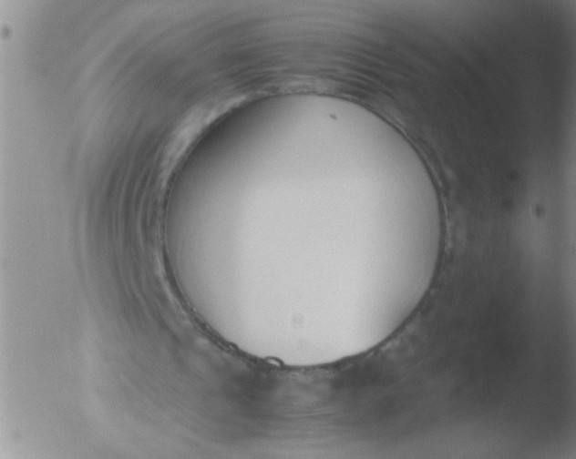 X0000051910241200507082036