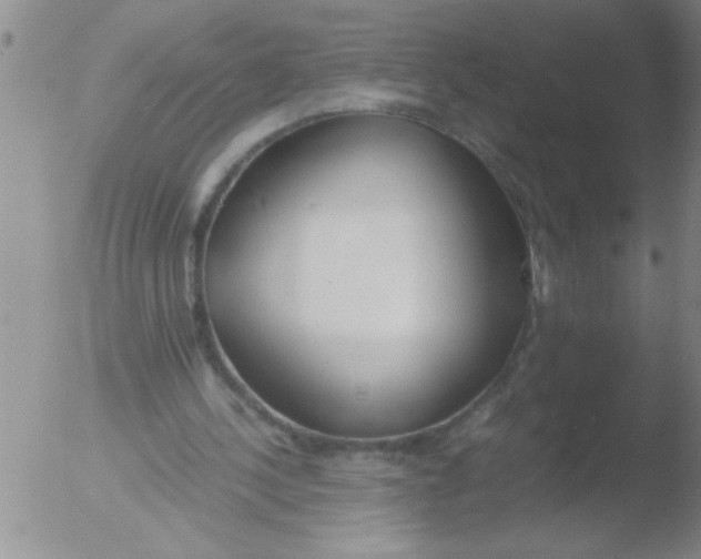 X0000051910244200507082037