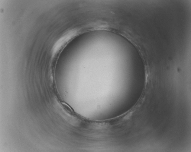 X0000051910245200507082037