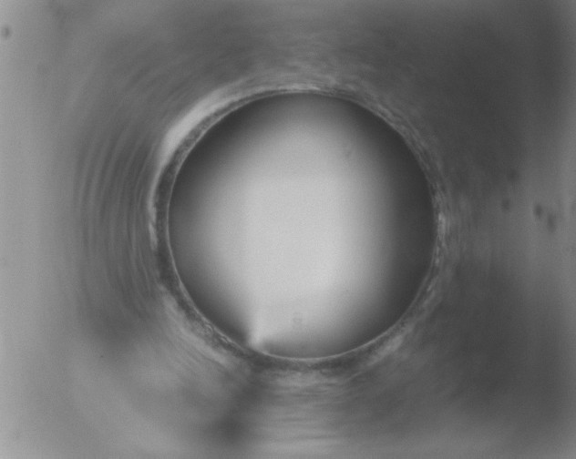 X0000051910246200507082037