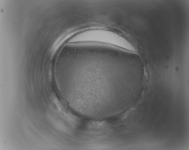 X0000051910247200507082037