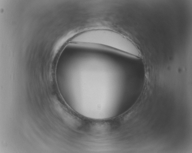 X0000051910248200507082037