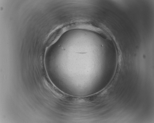 X0000051910249200507082037